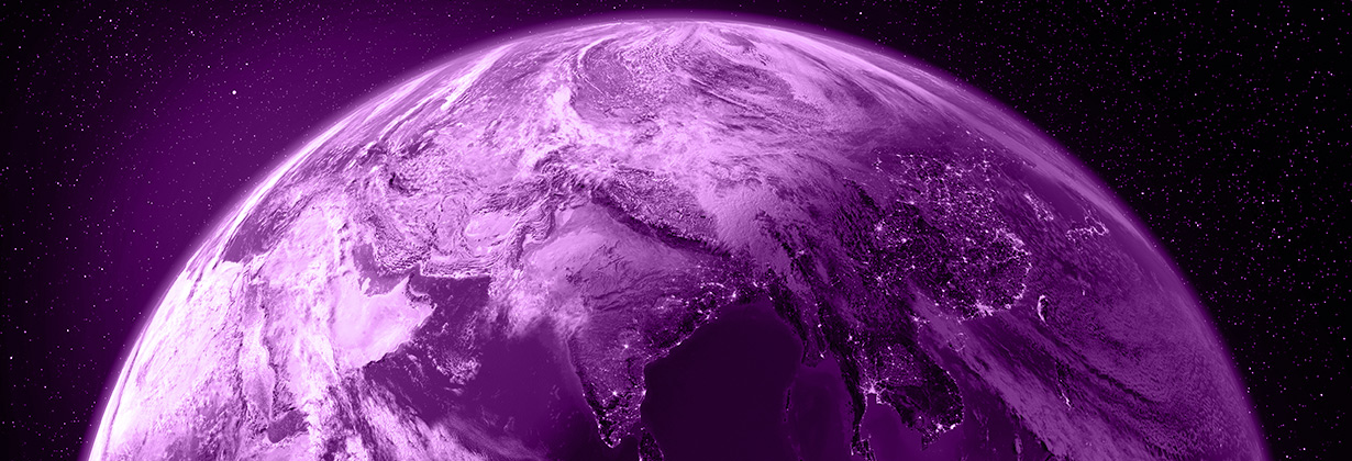 真の詐欺のコスト 