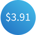 $3.91 アイコン