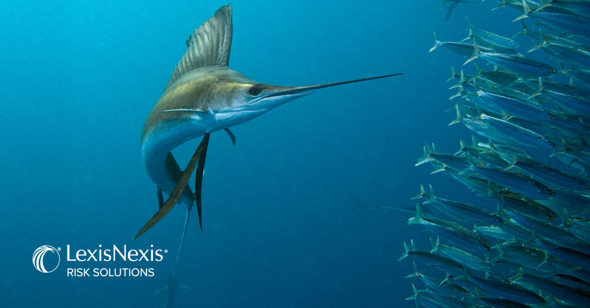 オールインワンのスクリーニングソリューション Lexisnexis Risk Solutions